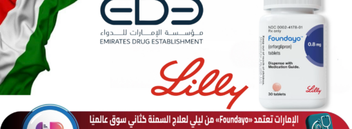 التقرير المفصل لأداء شركة ايبيكو في النصف الأول 2025: مبيعات 4.61 مليار جنيه وصادرات تتجاوز 1.52 مليار جنيه بنمو 27.5%