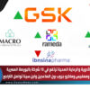 أسهم الأدوية والرعاية الصحية ترتفع في 13 شركة بالبورصة المصرية وجلاكسو وممفيس وماكرو جروب بين الصاعدين وابن سينا تواصل التراجع